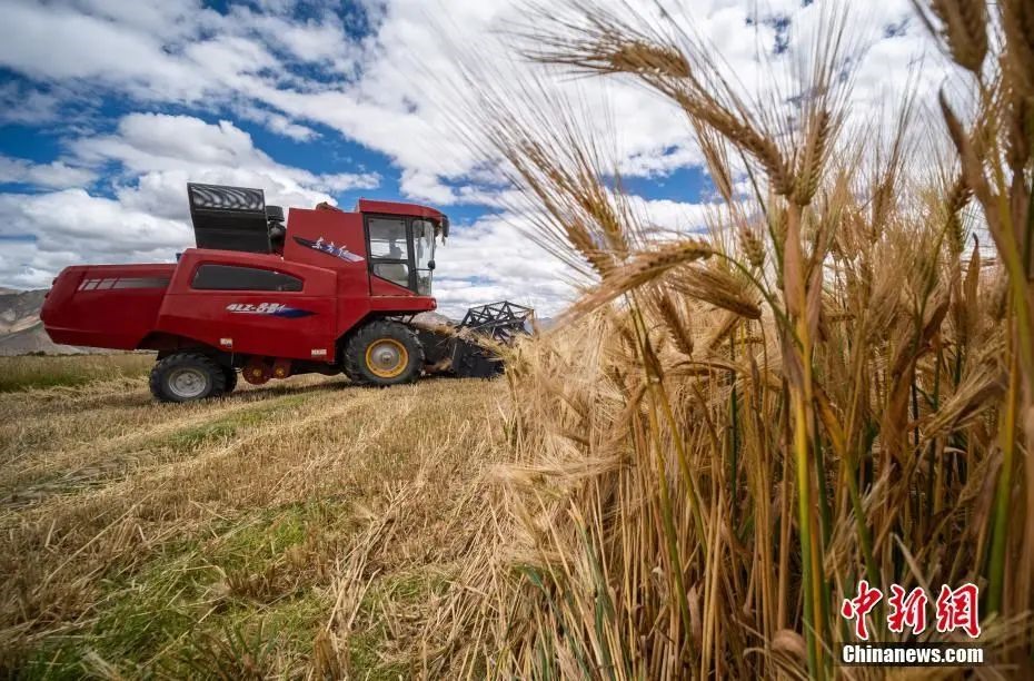 點(diǎn)擊進(jìn)入下一頁