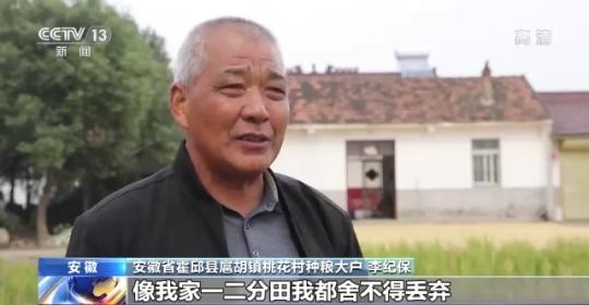 十八連豐！秋收近九成 我國糧食產(chǎn)能穩(wěn)步提升