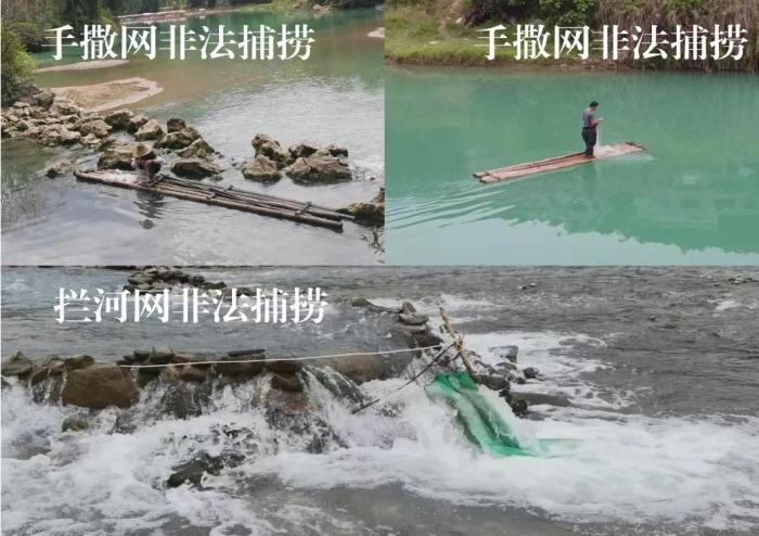 2021年9—10月，前期暗查發(fā)現，保護區(qū)核心區(qū)內非法捕撈行為十分猖獗