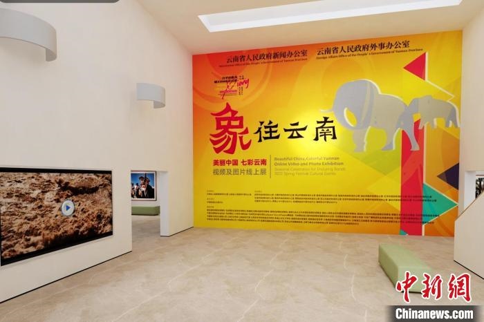 圖為“象”往云南——美麗中國 七彩云南視頻及圖片線上展截圖?！『h(yuǎn)航 攝