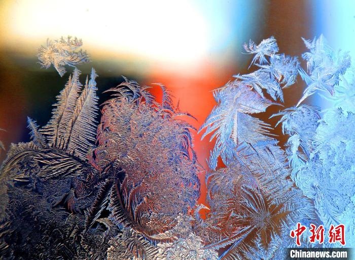 惟妙惟肖的冰窗花，似一幅風(fēng)景畫?！O書程 攝