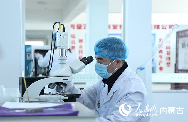 內(nèi)蒙古中農(nóng)興安種?？萍加邢薰韭鋺艨朴抑衅?，為肉牛產(chǎn)業(yè)發(fā)展提供了優(yōu)質(zhì)的種源保障。白俊華攝