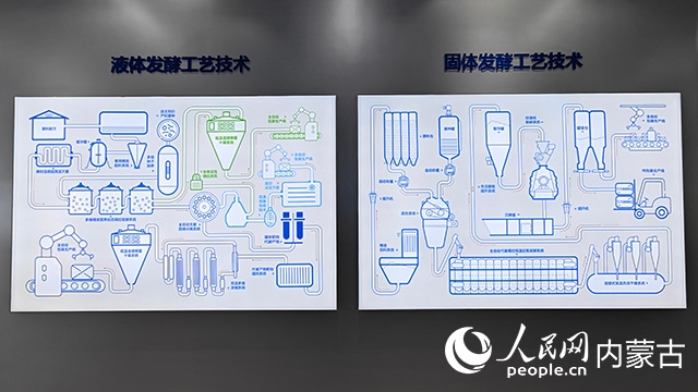 科拓生物工藝技術(shù)展示。人民網(wǎng)記者 張雪冬攝