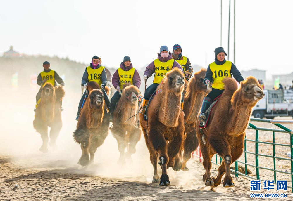 3月7日，賽駝手在6000米成年駱駝場(chǎng)地速度賽比賽中。.jpg
