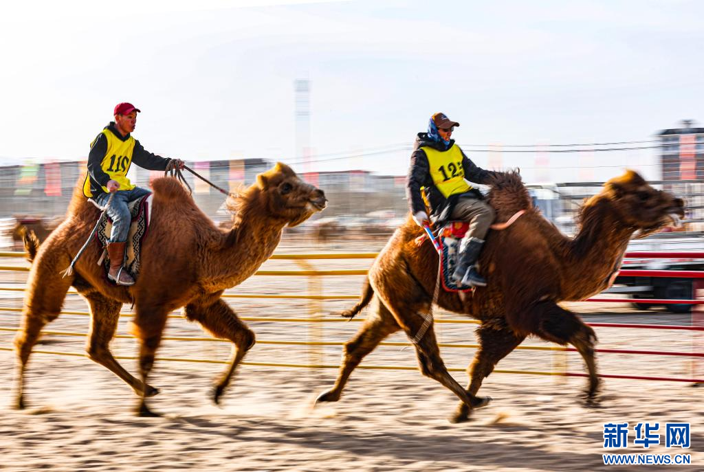 3月7日，賽駝手在6000米成年駱駝場(chǎng)地速度賽比賽中.jpg