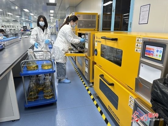 【高質(zhì)量發(fā)展看中國】基因遞送排頭兵 可實現(xiàn)“個性化”定制