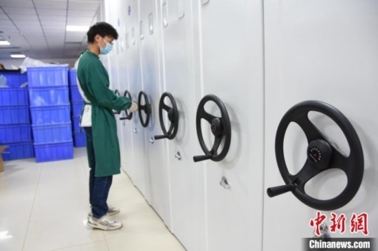 圖為鄭州大學(xué)人骨考古實(shí)驗(yàn)室內(nèi)的骨骼標(biāo)本庫(kù)。王宇 攝