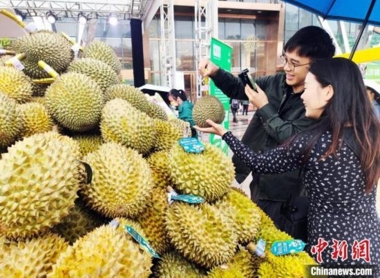 圖為廣西南寧市民在選購榴蓮。黃艷梅 攝
