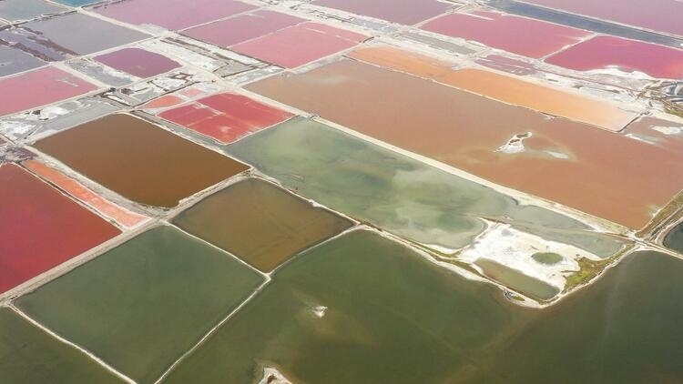 鑒往知來，跟著總書記學(xué)歷史丨走進一座博物館，尋根五千年中華文明