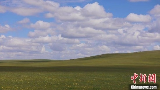 圖為點(diǎn)點(diǎn)新綠在原野上蓄勢(shì)待發(fā)。 歐戈 攝