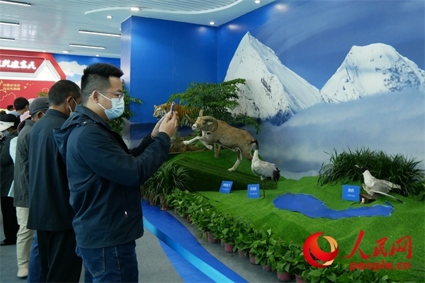 6月17日，觀眾正在觀展。人民網(wǎng) 韋衍行攝