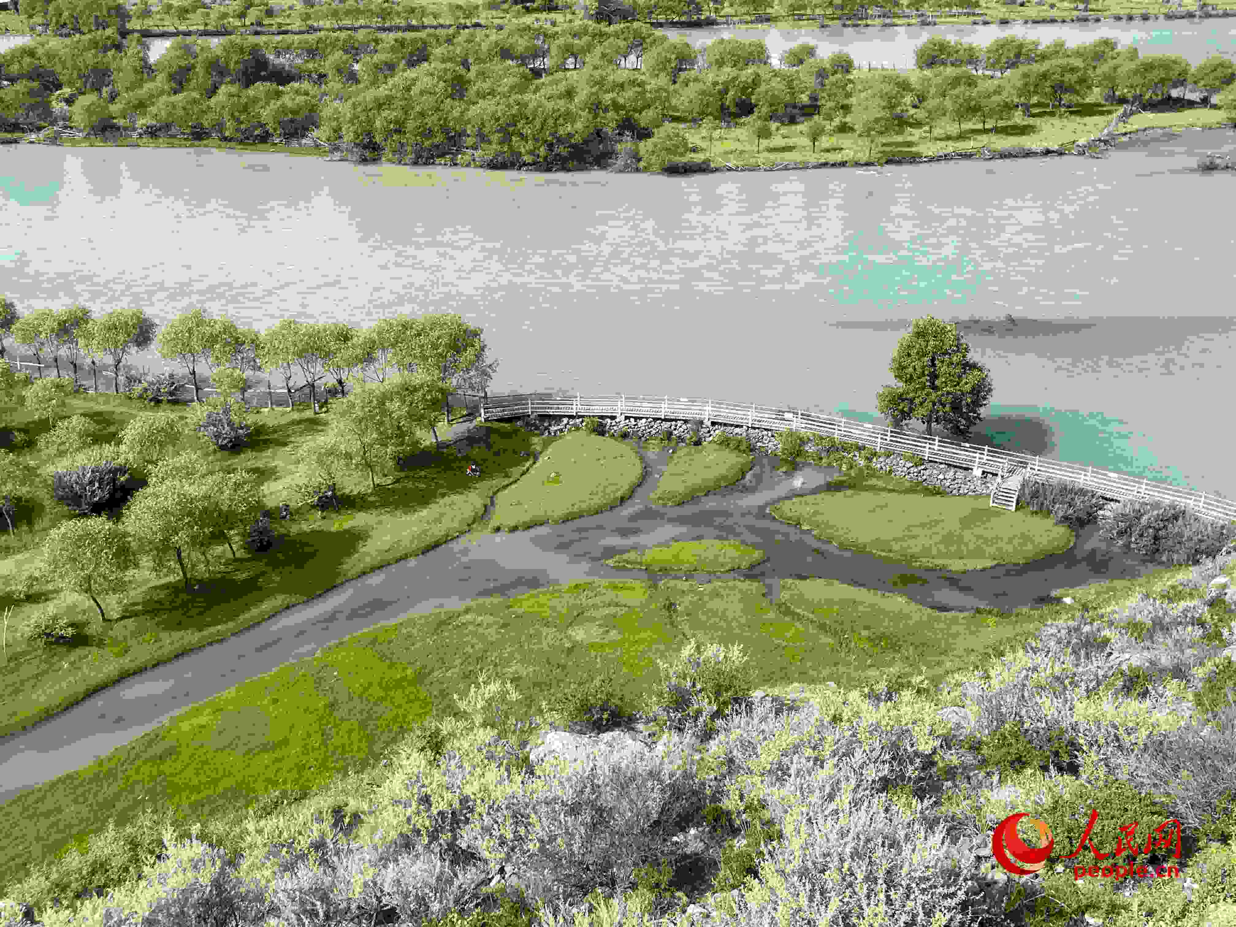 夏日的雅尼國家濕地公園生機盎然，如詩如畫。人民網(wǎng) 周靜圓攝