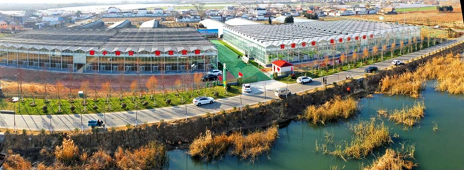 白樓灣三產(chǎn)融合發(fā)展。宋道森攝