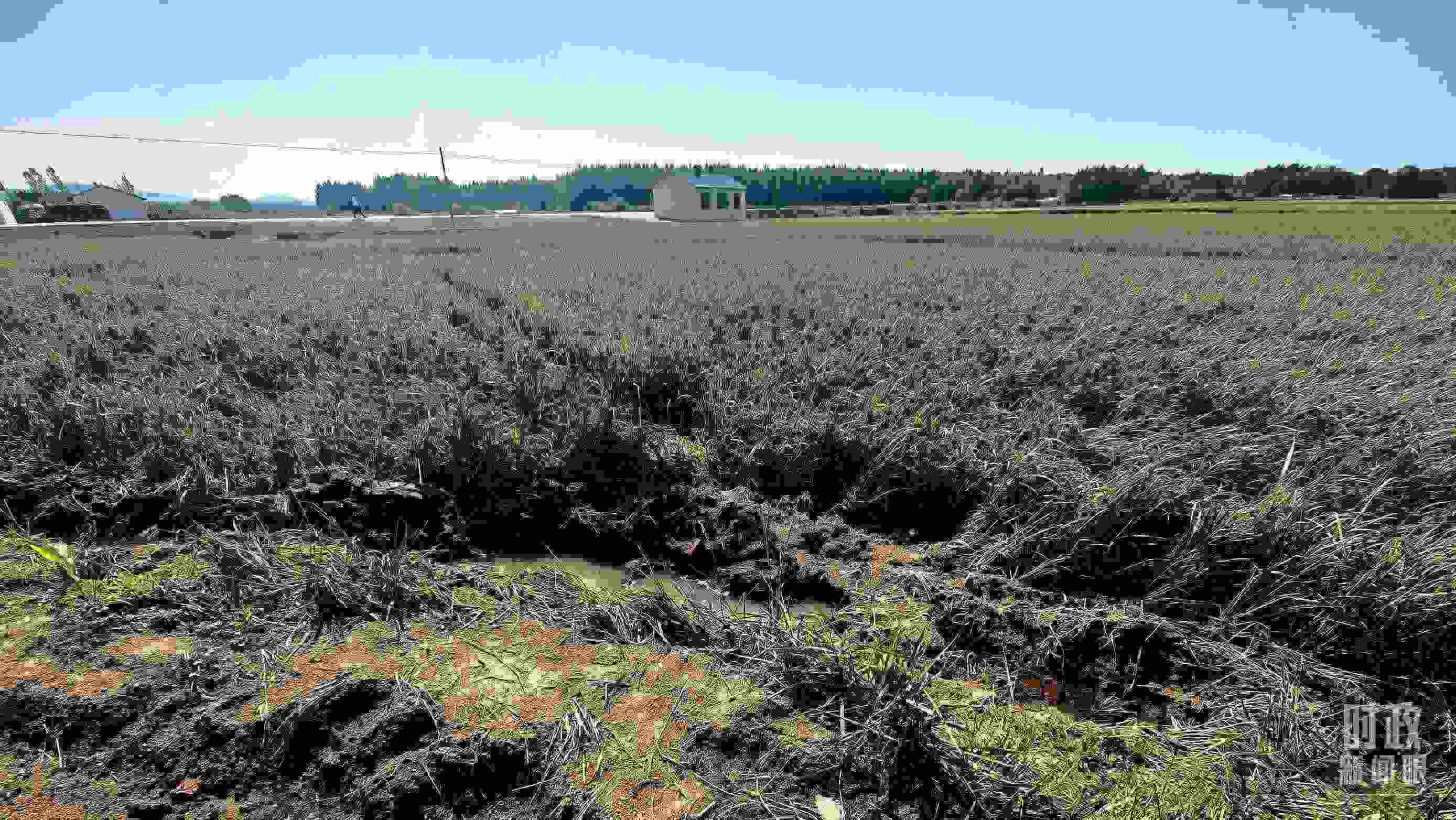 △圖為龍王廟村在洪災(zāi)中受損的農(nóng)田。（總臺央視記者史偉拍攝）