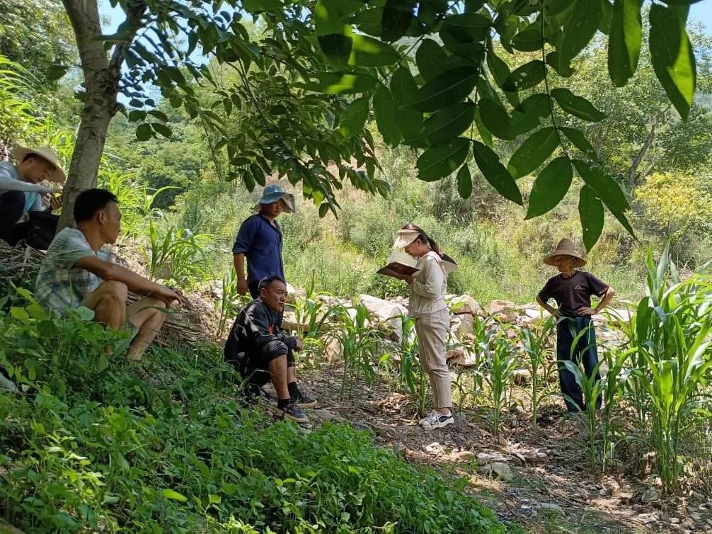 2023年7月18日，兩家村民發(fā)生土地方面的糾紛，李江女（右二）在記錄情況。受訪者供圖