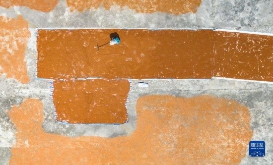 9月16日，農(nóng)民在貴州省安順市西秀區(qū)大西橋鎮(zhèn)吉昌村晾曬高粱（無(wú)人機(jī)照片）。