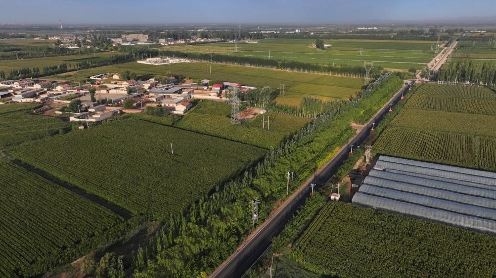 東興村周邊建起防護(hù)林網(wǎng)（無人機(jī)照片，2023年9月12日攝）。新華社記者李云平 攝