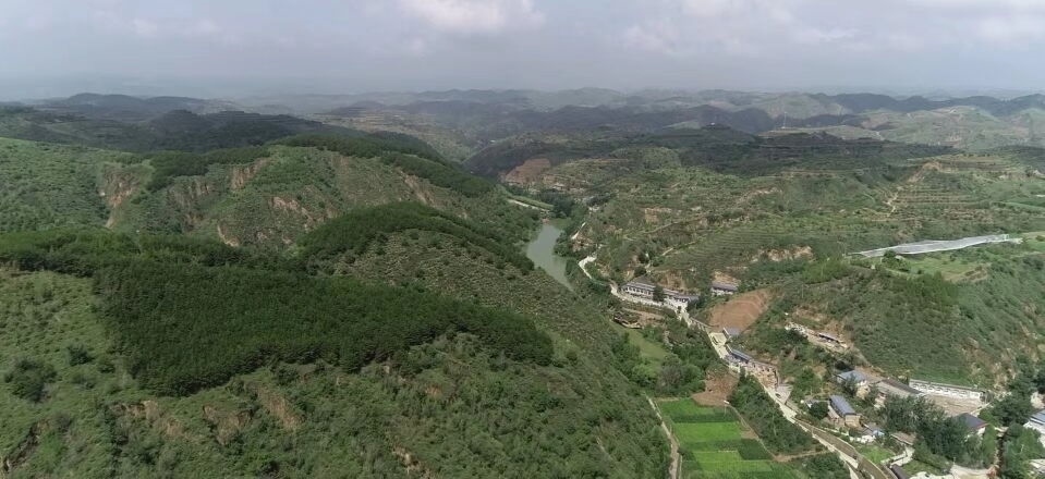 黃土溝壑中的高西溝村滿眼綠色（無人機(jī)照片，2023年7月26日）。新華社記者陳昌奇 攝