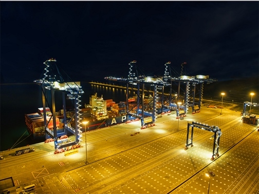 萊基港實(shí)行7×24小時(shí)裝卸作業(yè)機(jī)制。受訪者供圖