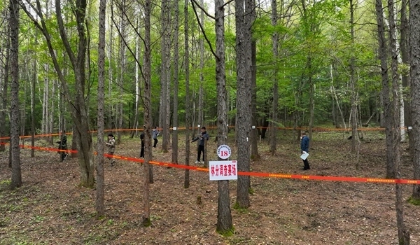 競(jìng)賽現(xiàn)場(chǎng)。圖片來源：國(guó)家林業(yè)和草原局