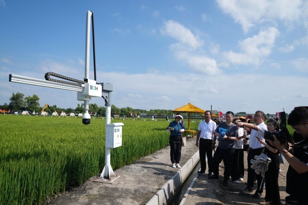 在北大荒集團(tuán)閆家崗農(nóng)場有限公司農(nóng)業(yè)現(xiàn)代化示范區(qū)，工作人員在介紹利用數(shù)字技術(shù)的葉齡診斷儀（2023年8月10日攝）。新華社記者 王建威 攝