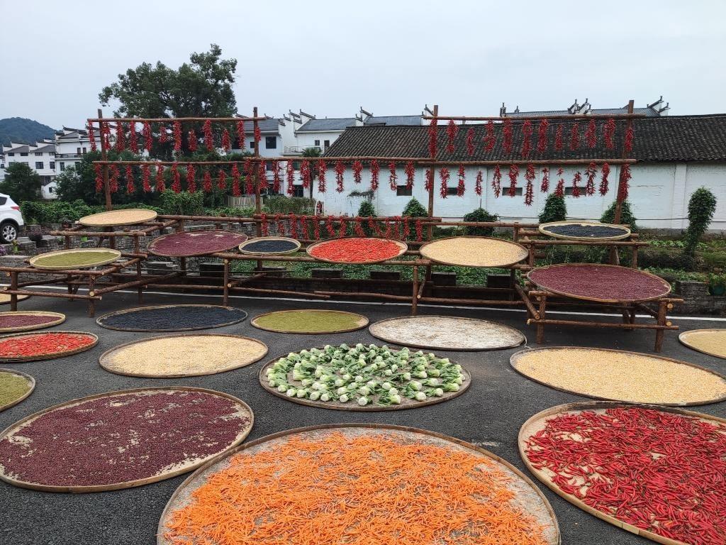 近日，江西省上饒市婺源縣秋口鎮(zhèn)王村村民晾曬的農(nóng)作物。新華社記者 劉佳敏 攝