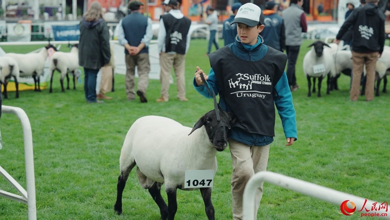烏拉圭第118屆普拉多牧農(nóng)業(yè)國際博覽會現(xiàn)場。人民網(wǎng)記者 張若涵攝