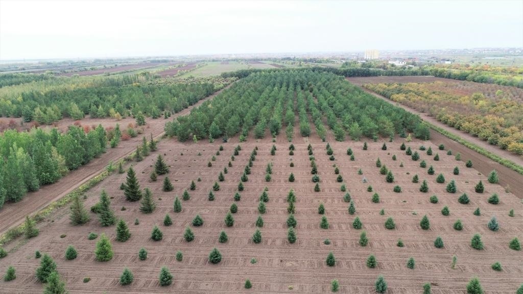 這是2023年9月11日在哈薩克斯坦首都阿斯塔納拍攝的一處植物種質(zhì)資源苗圃（無人機照片）。新華社發(fā)（法爾哈特·圖克諾夫 攝）