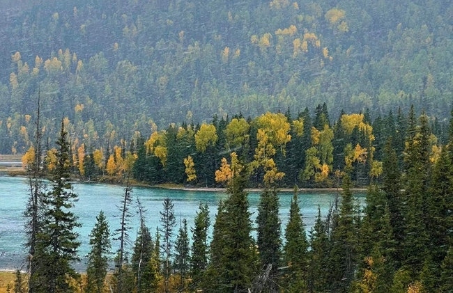 禾木景區(qū)。中國鐵路烏魯木齊局集團(tuán)有限公司供圖