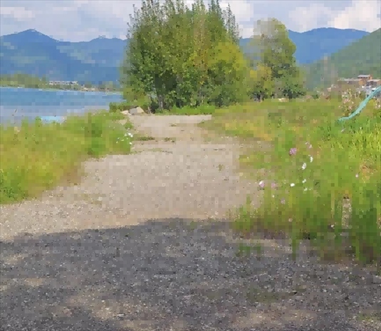 王軍所說(shuō)被填區(qū)域。 人民網(wǎng)記者 黃鈺攝