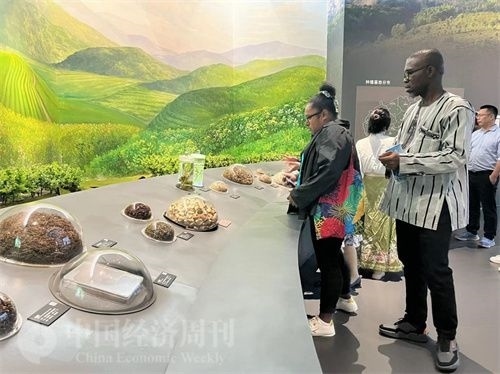  （在中國藥都中醫(yī)藥博物館，外媒記者了解中醫(yī)藥發(fā)展史。中國經(jīng)濟周刊記者 郭志強 攝）