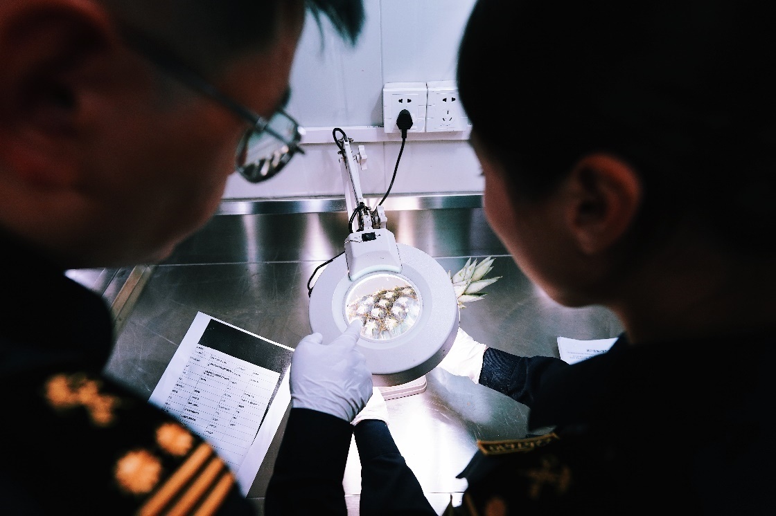 上海海關關員針對檢疫性有害生物和農藥殘留進行檢疫檢驗。陳興洲攝
