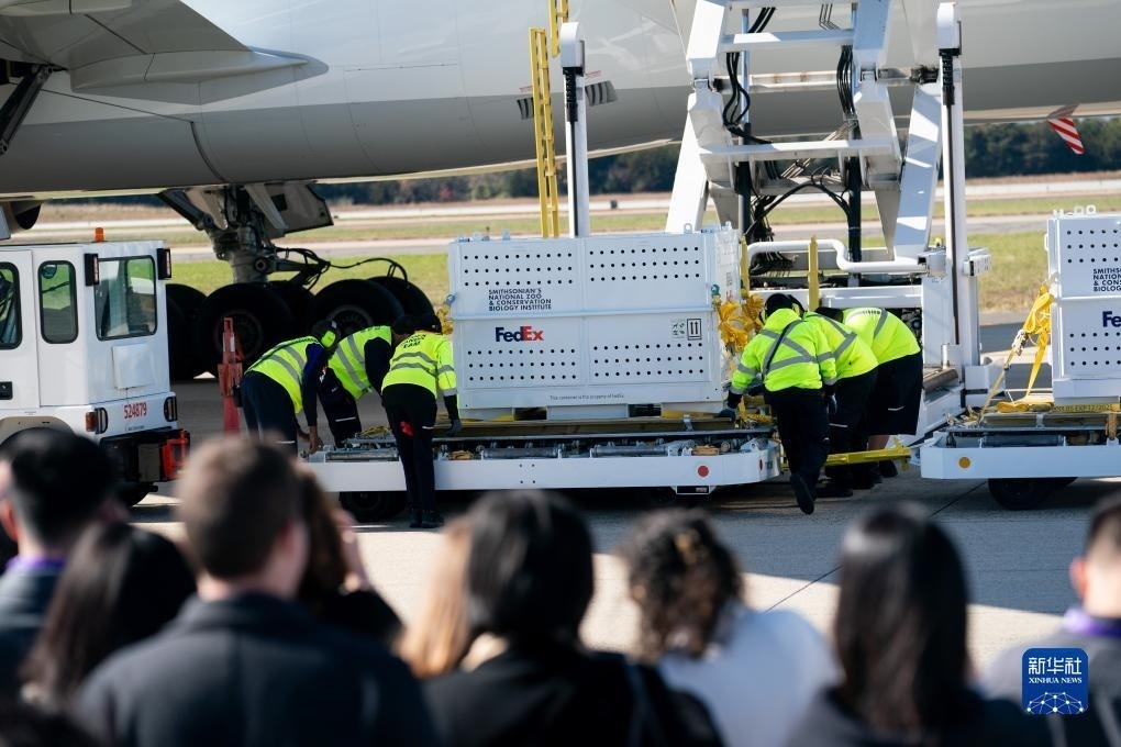 11月8日，在美國弗吉尼亞州的華盛頓杜勒斯國際機(jī)場，裝有大熊貓的特制“旅行包廂”準(zhǔn)備運上專機(jī)。新華社記者劉杰攝