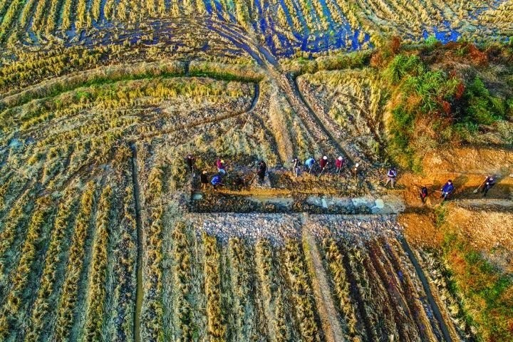 良渚遺址考古發(fā)掘現場。