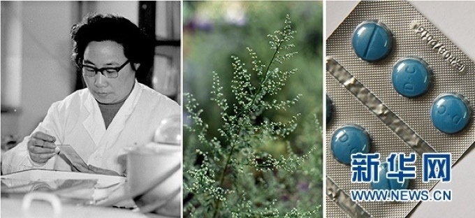 屠呦呦、青蒿和抗瘧疾成藥（拼版資料照片）