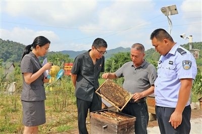  圖②：蒙山法院黃村法庭法官深入蜂蜜合作社，實(shí)地了解蜂農(nóng)需求。