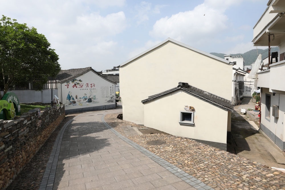 浙江省義烏市李祖村一景（2023年5月23日攝）。新華社記者 杜瀟逸 攝