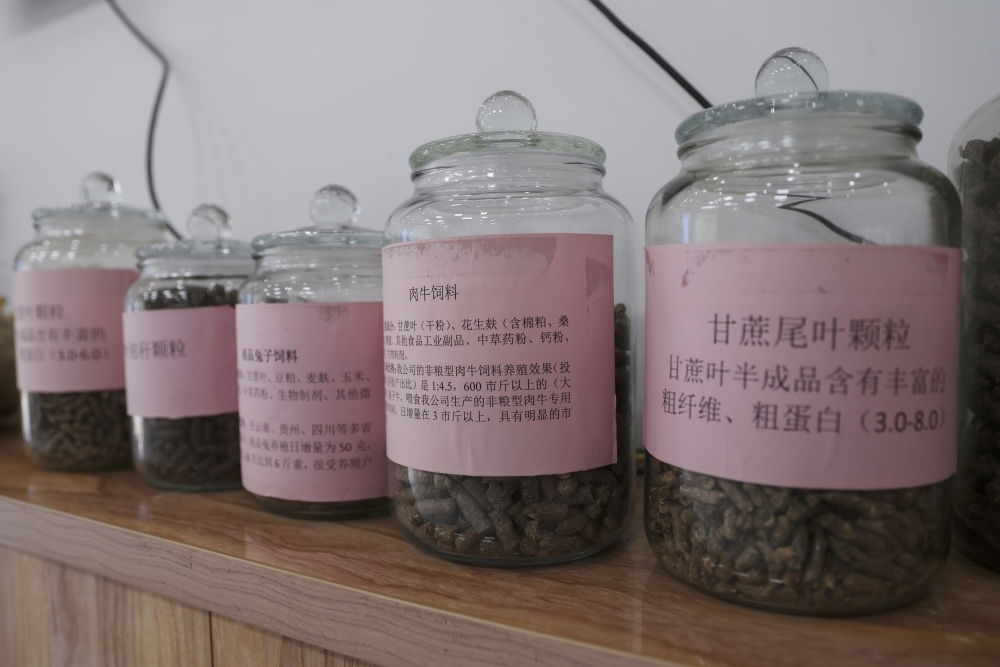 這是12月13日在來賓市興賓區(qū)小平陽鎮(zhèn)一家飼料廠拍攝的以甘蔗尾葉為原料制成的飼料。