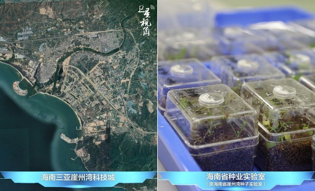 位于三亞崖州灣科技城的海南省種業(yè)實(shí)驗(yàn)室（原海南省崖州灣種子實(shí)驗(yàn)室）將形成輻射全國和“一帶一路”沿線國家的種子科學(xué)技術(shù)創(chuàng)新中心。