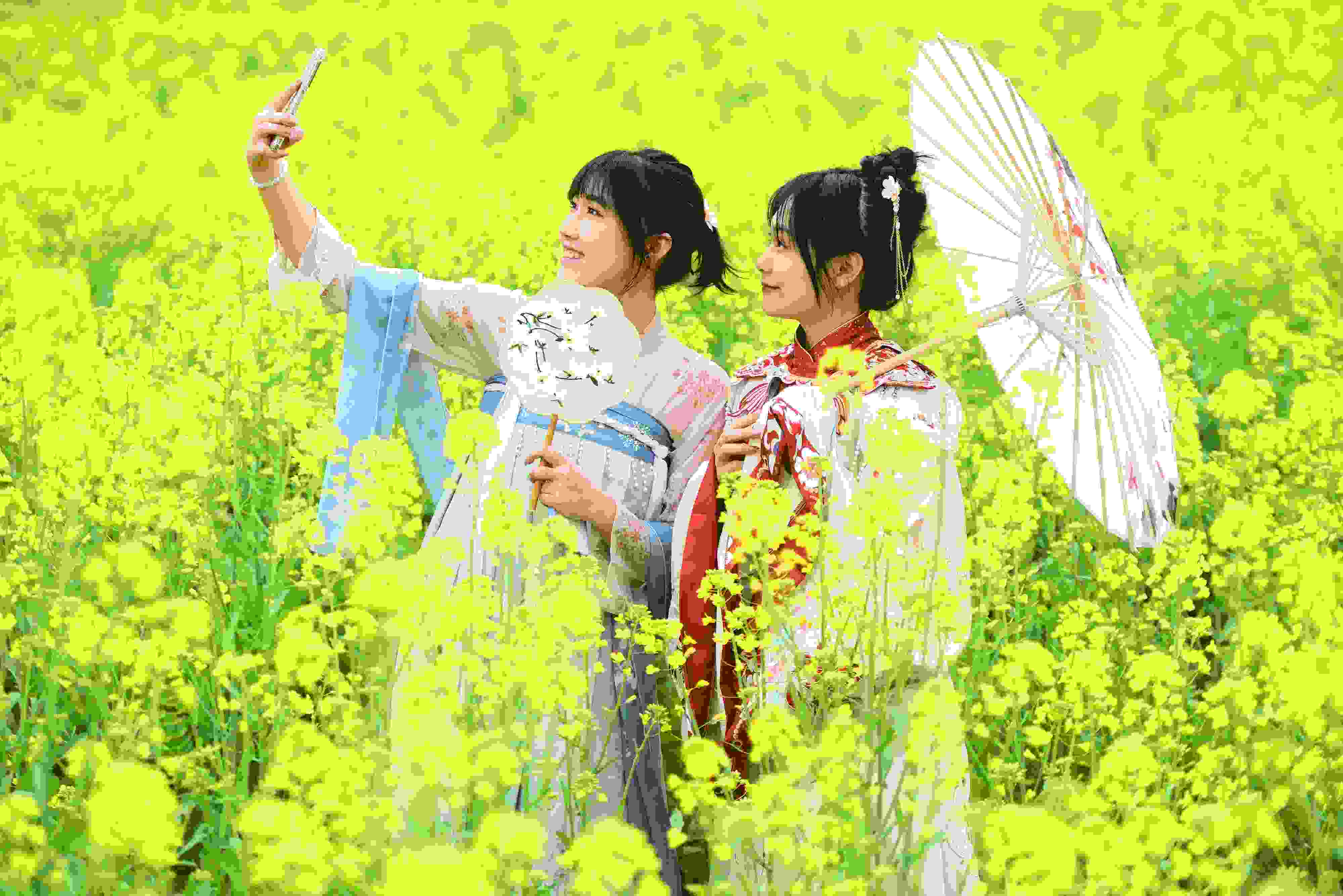 △ 2024年2月16日，廣西賀州，在富川瑤族自治縣麥嶺鎮(zhèn)三民村，游客在油菜花田間賞花拍照。