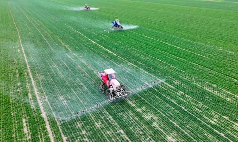 2024年2月18日，安徽省亳州市，利辛縣紀(jì)王場(chǎng)鄉(xiāng)孫老家村麥田，農(nóng)民駕駛自走式高桿噴霧機(jī)對(duì)小麥進(jìn)行噴藥作業(yè)。