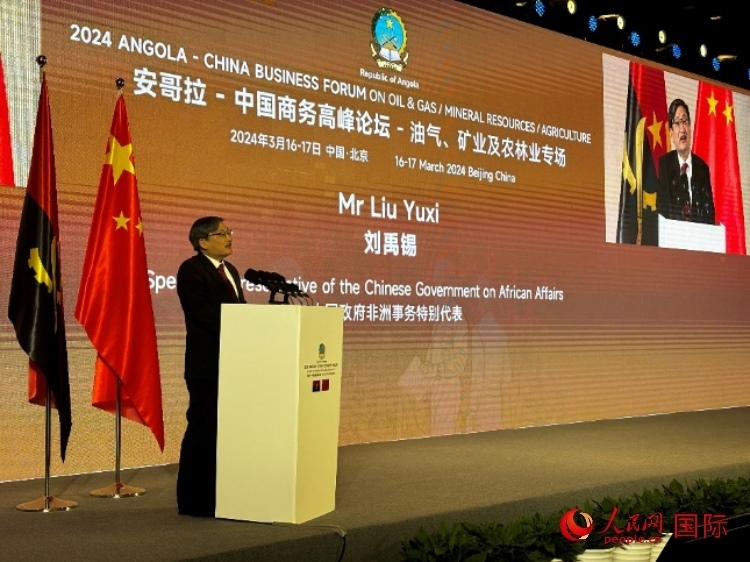 中國政府非洲事務(wù)特別代表劉禹錫。人民網(wǎng)記者 張榮攝