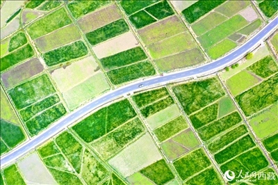 無人機(jī)視角下的西藏山南市瓊結(jié)農(nóng)田。人民網(wǎng)記者 次仁羅布攝