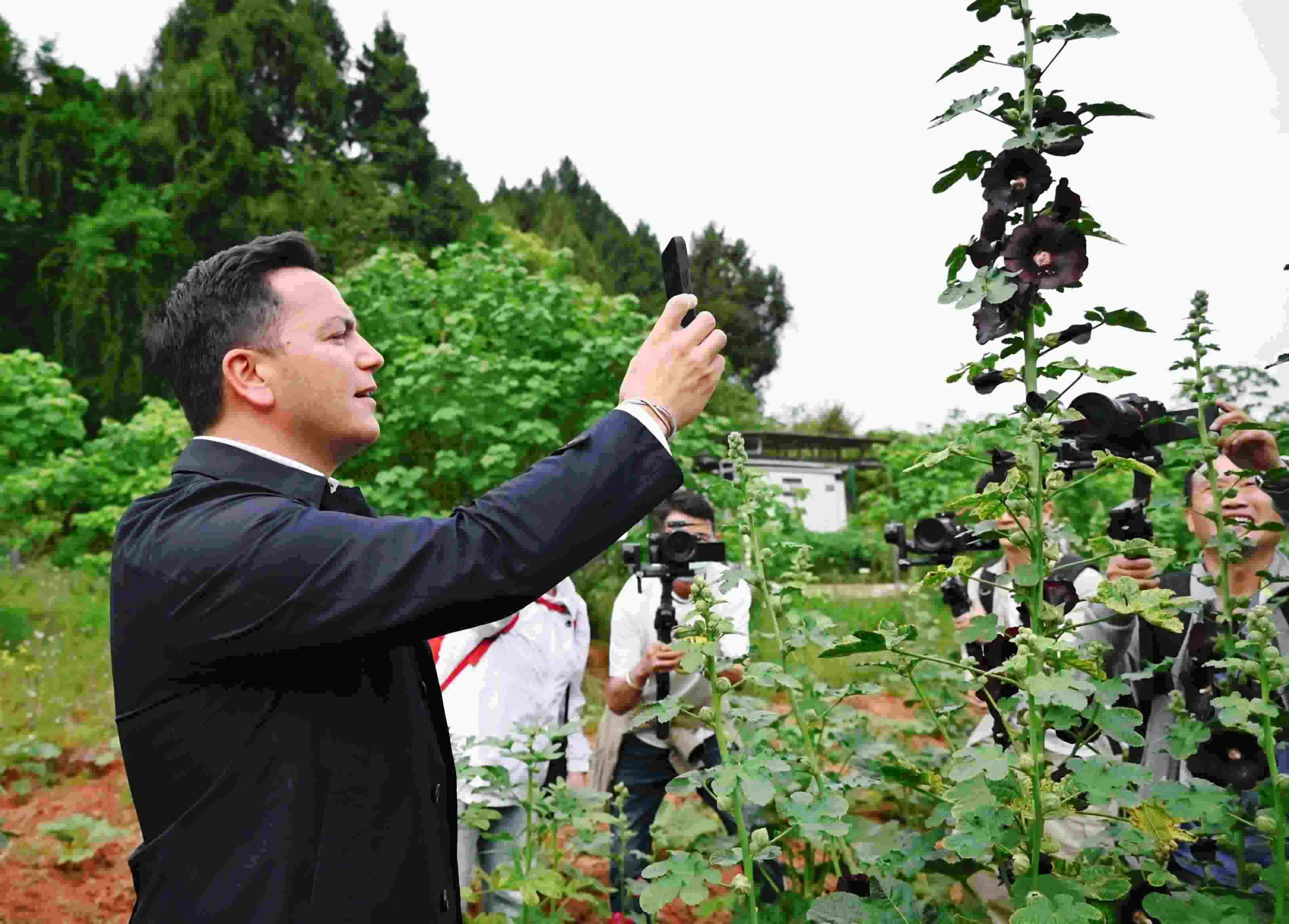  △2024年4月23日，國際園藝生產(chǎn)者協(xié)會主席萊昂納多·卡皮塔尼奧在成都市金堂縣鮮花山谷景區(qū)考察蜀葵產(chǎn)業(yè)。