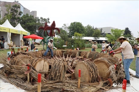 坎波·馬特活動(dòng)現(xiàn)場(chǎng)。埃內(nèi)斯托·多明戈斯攝