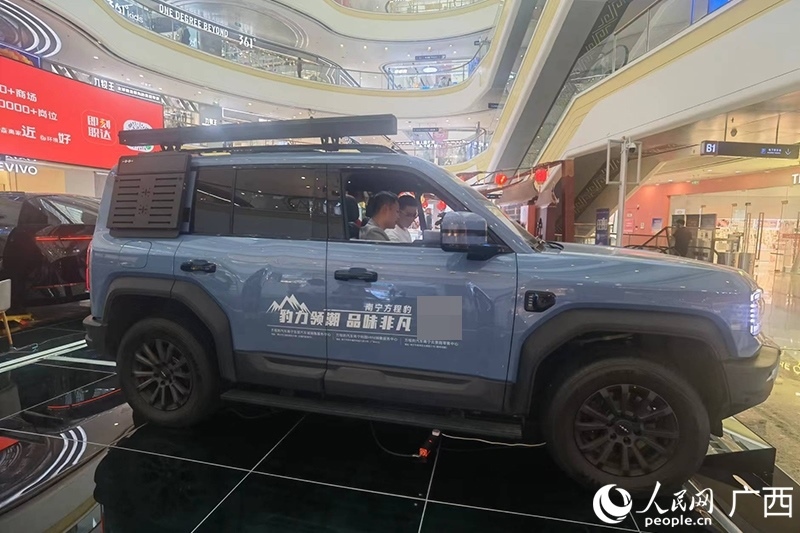 消費(fèi)者在商場(chǎng)選購(gòu)汽車(chē)。人民網(wǎng)記者 陳燕攝