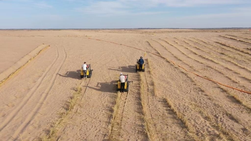 內(nèi)蒙古巴彥淖爾市烏拉特后旗西補(bǔ)隆林業(yè)管護(hù)中心職工駕駛機(jī)械鋪設(shè)壓沙障。新華社記者 李云平 攝