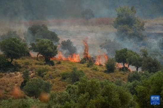 6月12日，以色列北部加利利地區(qū)遭受火箭彈襲擊后冒出滾滾濃煙。新華社發(fā)（阿亞爾·馬戈林?jǐn)z/基尼圖片社）