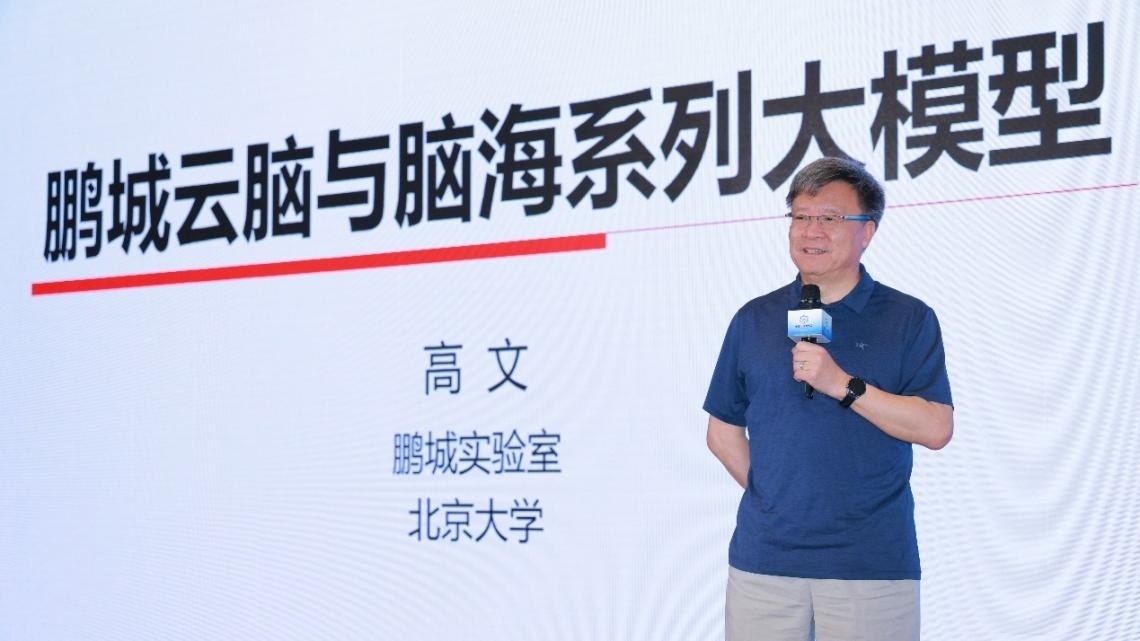 高文院士做大會特邀報告。主辦方供圖