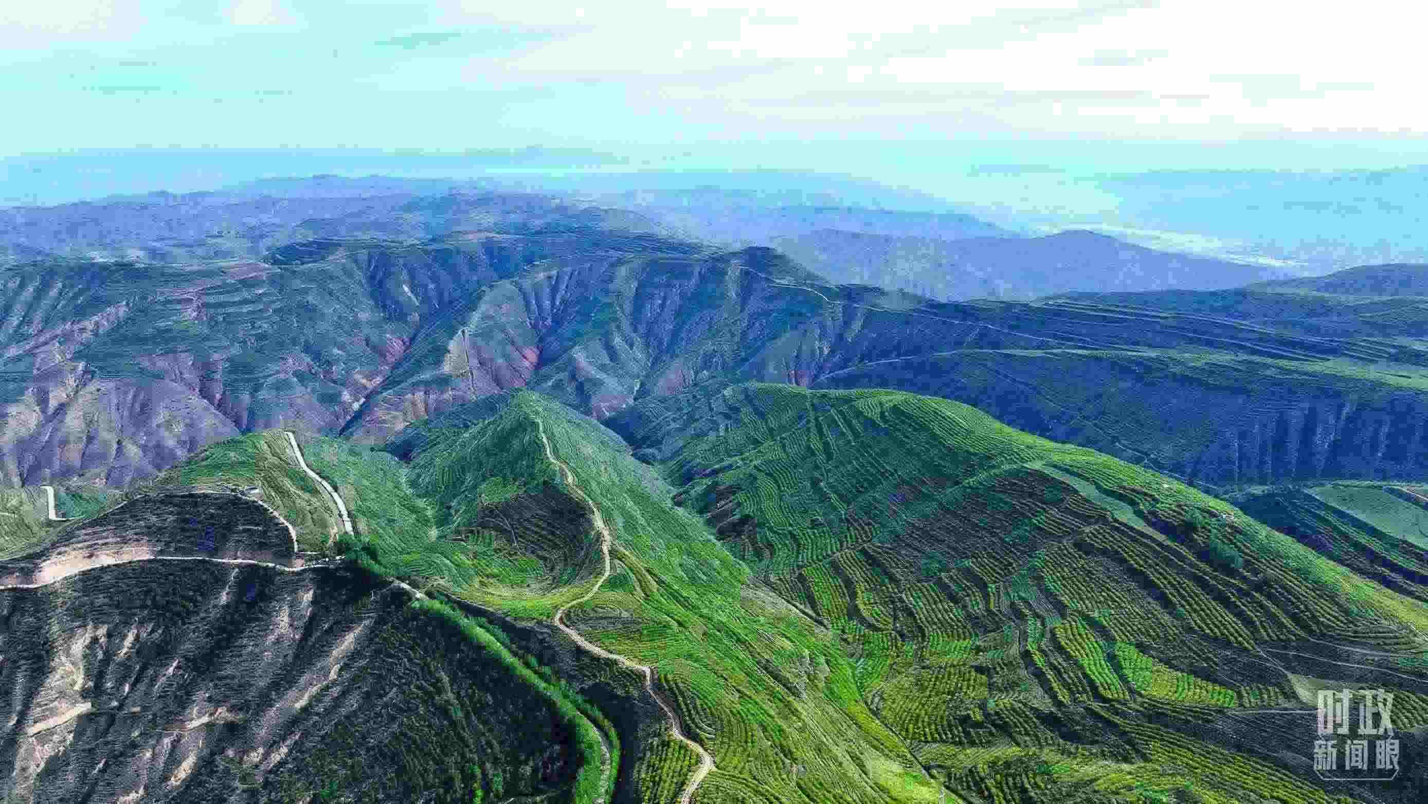 △青海西寧。（總臺(tái)記者柳成拍攝）